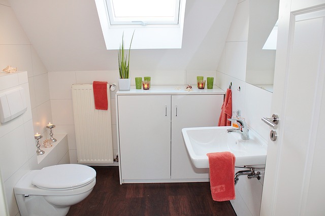 bathroom-1228427_640.jpg
